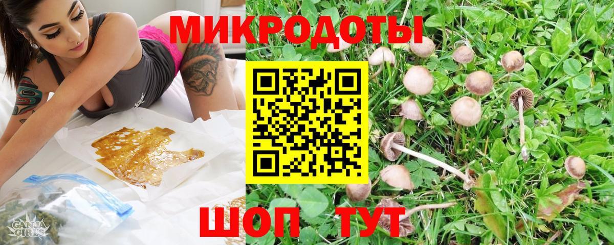 Псилоцибиновые грибы GOLDEN TEACHER  Вход с VPN  Зеленогорск  Псилоцибиновые грибы Psilocybine cubensis 
