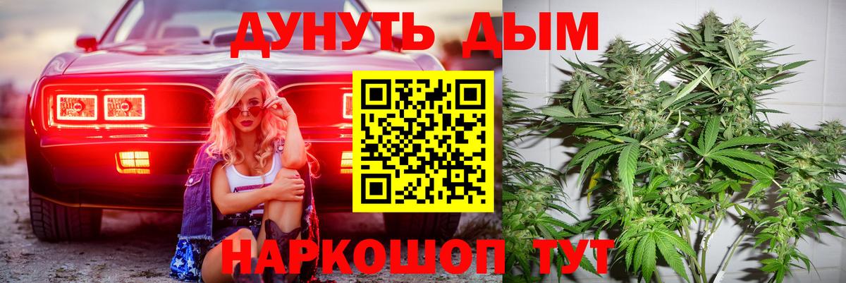 Марихуана сатива Зеленогорск